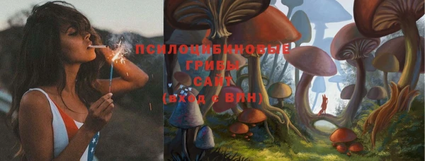 mdpv Нея
