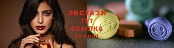 спиды Новодвинск