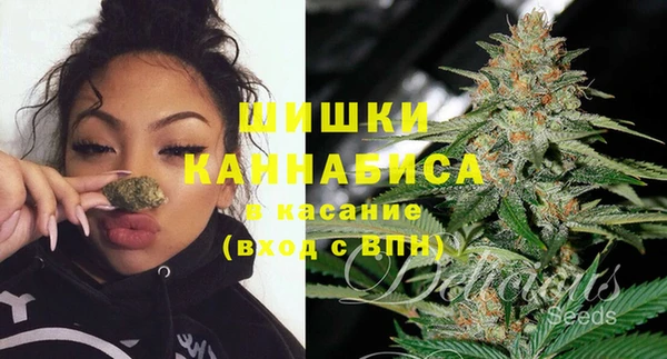 гидра Нефтекумск
