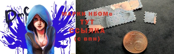 прущий лед Новозыбков