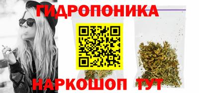шишки Жуковский