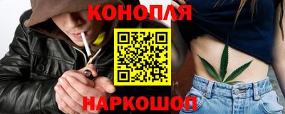 шишки Жуковский