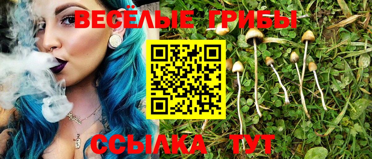 Галлюциногенные грибы мицелий  Симферополь 